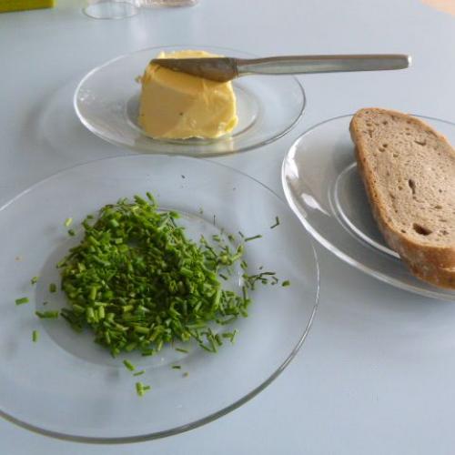 Schnittlauch