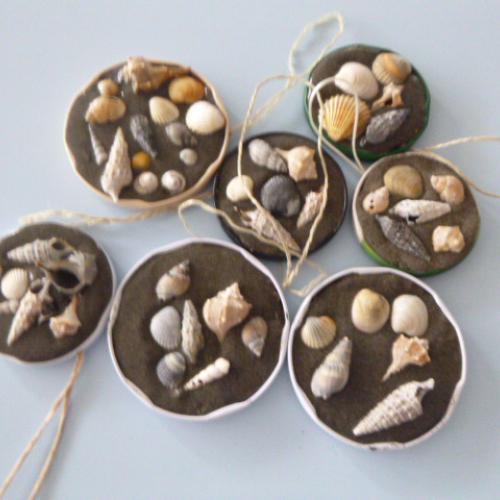 Muschelbilder
