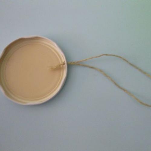 Muschelbilder