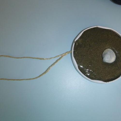 Muschelbilder